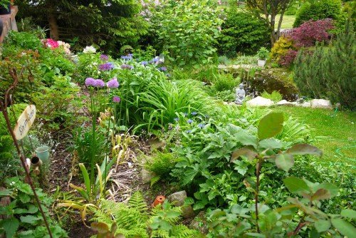 Garten - aber bitte ohne Giftpflanzen