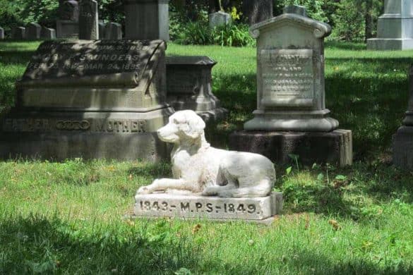 Ob mit Grabstein oder Urne - als Tierbestatter unterstützt man Trauernde bei der Verabschiedung ihrer Lieblinge.