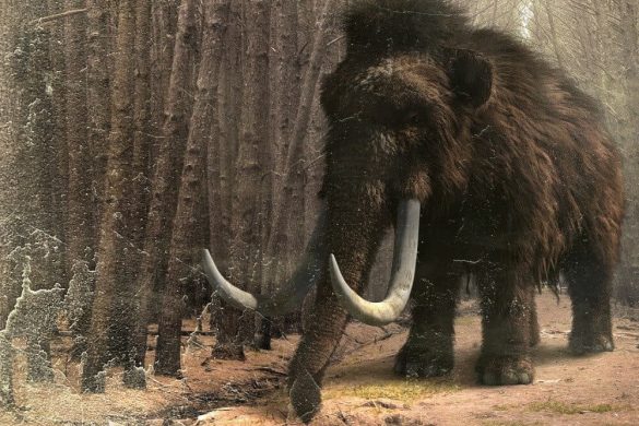 hunde mammut mammoth ausgerottet forschung