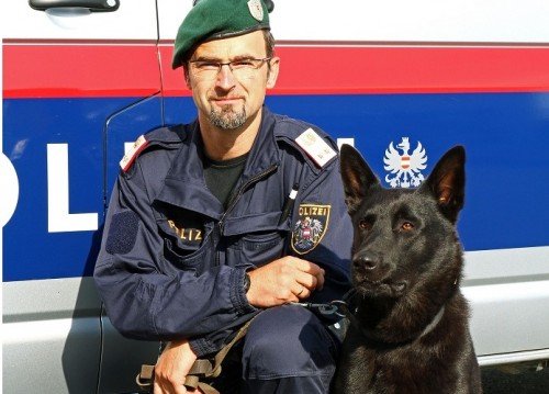 Polizeihund Nero