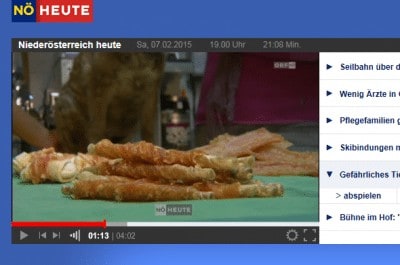 Vor diesen Hühnerfleisch-Snacks ist Vorsicht geboten. Foto: Screenshot "ORF"