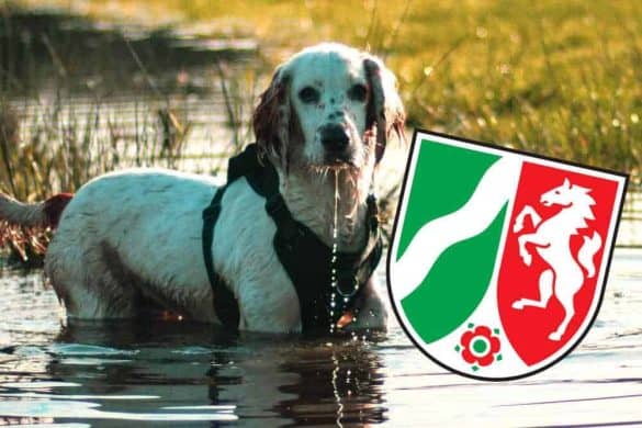 baden mit hund in nordrhein westfalen nrw deutschland hundefreundliche seen