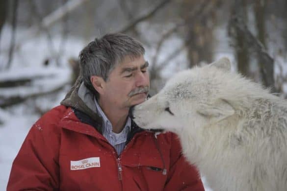 Kurt Kotrschal wolf science center forschung verhalten hund dogs professional