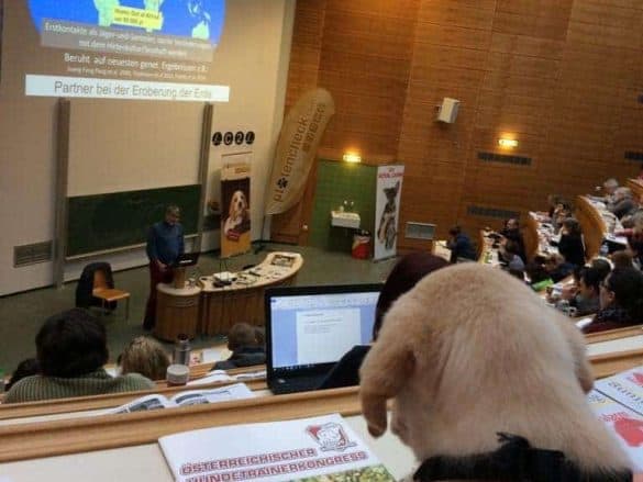 Hundetrainerkongress ÖsterreichDogs-Professional 2018 Labrador Retriever Diabetikerwarnhund Vet Med Uni Wien