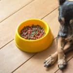 Hundefutter von Hill's Pet Nutrition von Produktrückruf betroffen