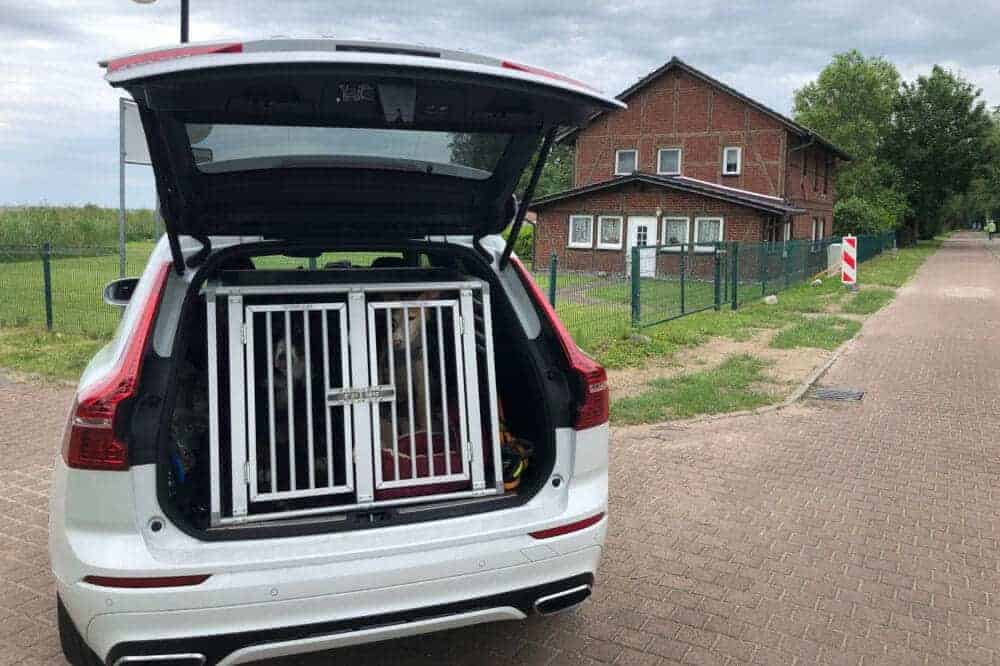 Volvo XC 60 hund hundefreundlich berner sennenhund podenco hundebox kofferraum