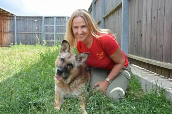 Wahl des richtigen Hundes TierQuarTier Wien Annemarie Hurban Huendin Bonny Schaeferhund