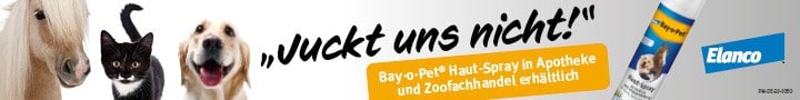 banner elanco hautprobleme im winter schuppen beim hund ELA_BOP_Hautspray_Anz_EV_2020_720x90px_dieHundezeitung_fa