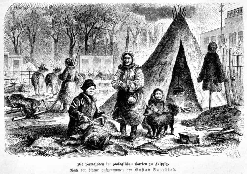 Samojeden indigenes Volk Russland Sibirien 1880 Völkerschau Zoologischen Garten Leipzig Hund