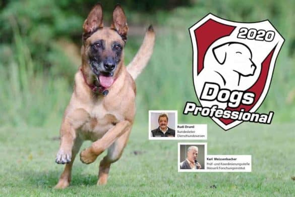 abendveranstaltung dogs-professional 2020 zollhunde im einsatz nasenarbeit von profis lernen malinois