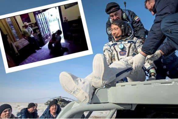 astronaut christaina hammock koch hund rückkehr wiedersehen