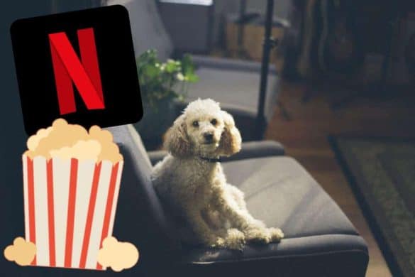 filme netflix serien hunde familie online streamen