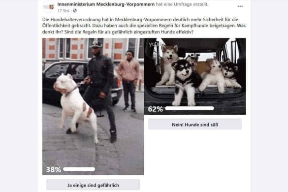 Facebook Umfrage Innenministerin Mecklenburg-Vorpommern Kampfhunde niedlich