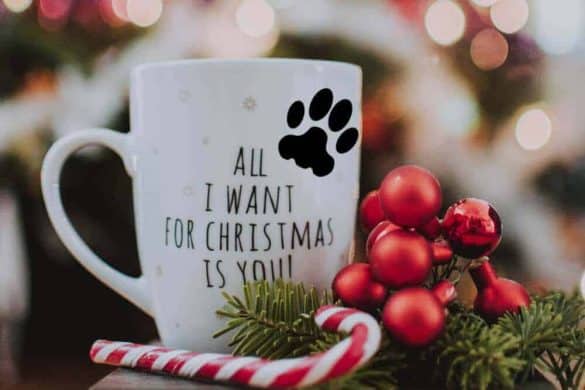 adventskalender hunde adventkalender weihnachten geschenke hund