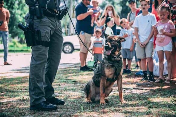 bayern polizei hund polizeihunde keine rente pension kosten