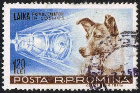 laika hund dog space briefmarke