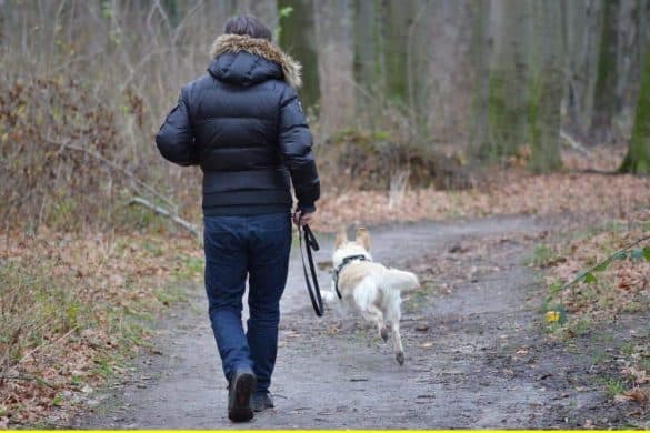 mann hund spazieren urlaub tirol