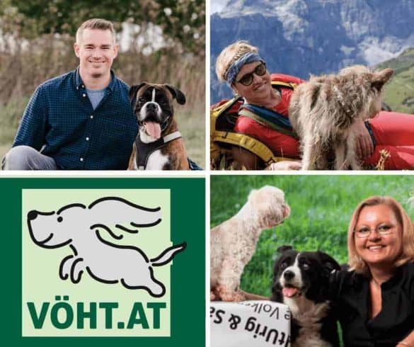 vöht vereinigung österreichischer hundetrainer hundetraining