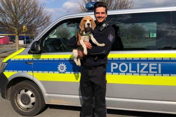 Ein lachender Polizist hält Jagdhund Käthe im Arm vor einem Polizeiauto.