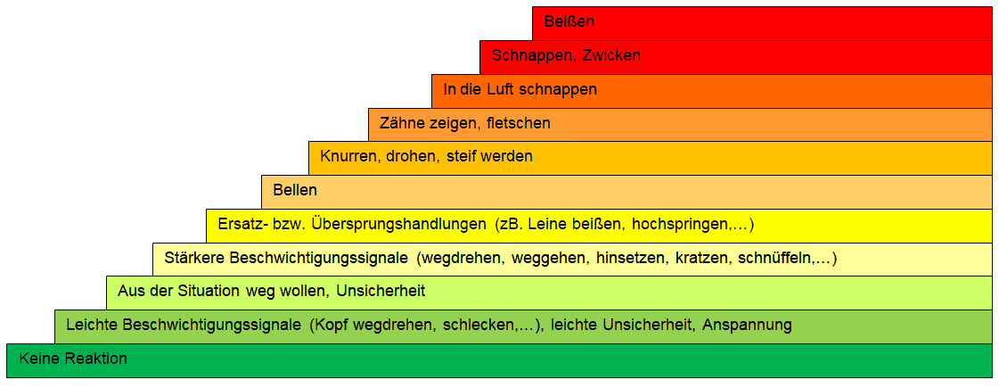 Tabelle der verschiedenen Eskalationsstufen eines Hundes