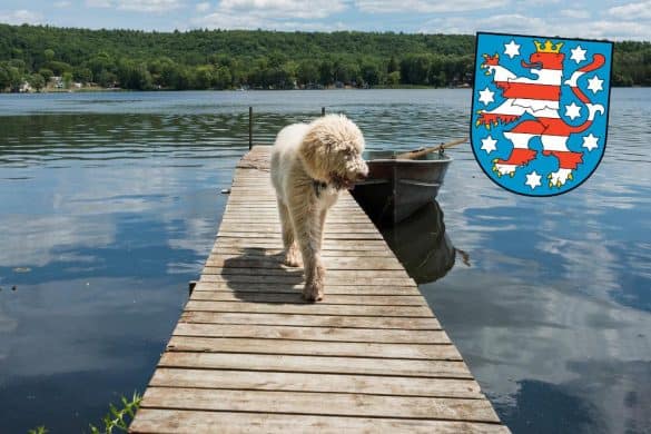 Ein Hund geht einen Steg am See entlang, im Vordergrund ist das Wappen von Thüringen zu sehen.
