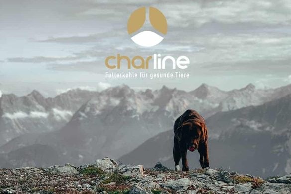 Ein brauner Hund steht auf einem Felsen, im Hintergrund sieht man Berge und darüber das Logo von CharLine.