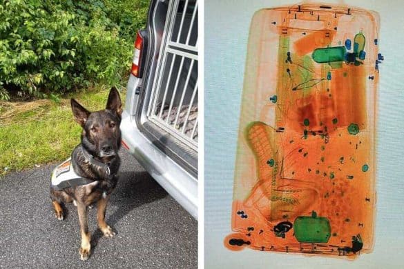 Drogenspürhund "Crack" sitzt neben dem Einsatzfahrzeug der Polizei, rechts ist ein Röntgenbild des verdächtigen Reisekoffers zu sehen.