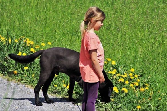 Kind steht auf einem Kieselsteinweg neben einem großen schwarzen Hund und im Hintergrund sieht man eine Wiese.