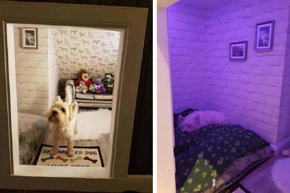 Links steht Molly im Eingang zu ihrem Zimmer, rechts liegt sie bei violettem Licht auf ihrem Hundebett.