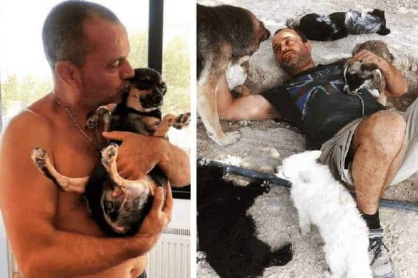 Der Besitzer von Takis Shelter ist links mit einem Welpen im Arm zu sehen, rechts liegt er auf dem Boden zwischen schlafenden Hunden.