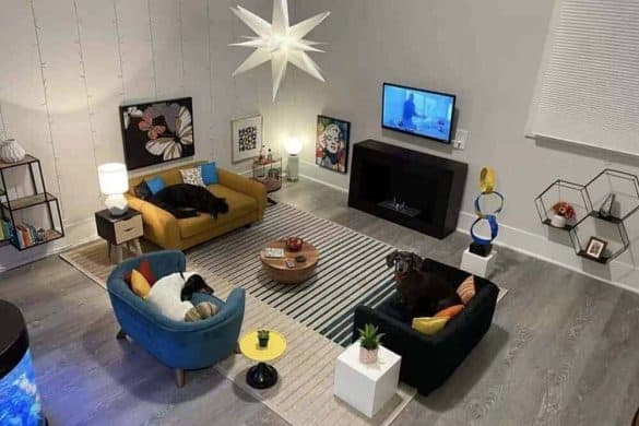 Das Hunde-Wohnzimmer mit drei kleinen Couches, einem Fernseher, Aquarium und vielem mehr!