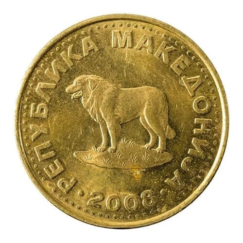 Der Sarplaninac auf der 1-Denar-Münze.