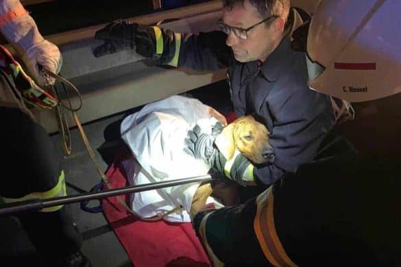 Der Unfallhund von Bad Hersfeld wird von den Feuerwehrleuten gefunden.