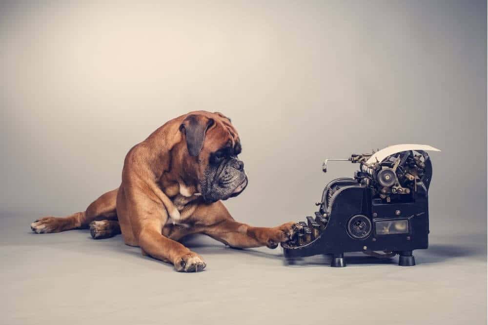 Ein Hund legte eine Pfote auf eine Schreibmaschine.