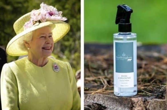 Nun hat die Queen eine königliche Duftnote für Fellnasen kreiert.