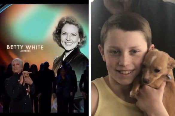 Links ist Jamie Lee Curtis mit dem Welpen bei den Oscars zu sehen, rechts positer der Sohn von John Travolta mit dem neuen Familienmitglied.