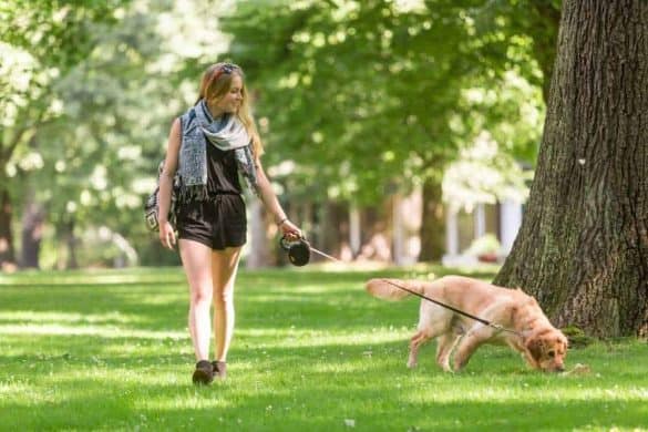 Eine Frau geht mit einem Hund durch einen Park spazieren.