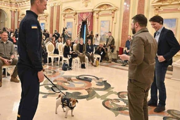 Hund Patron bekommt eine Auszeichnung von Präsident Volodymyr Zelensky.