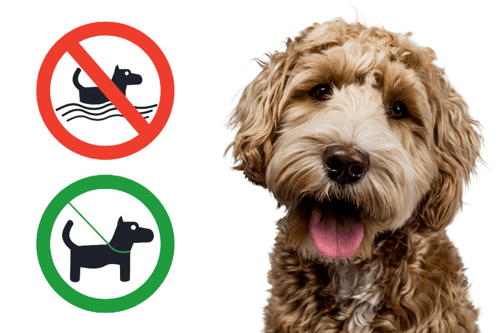 Hund mit Verbotszeichen