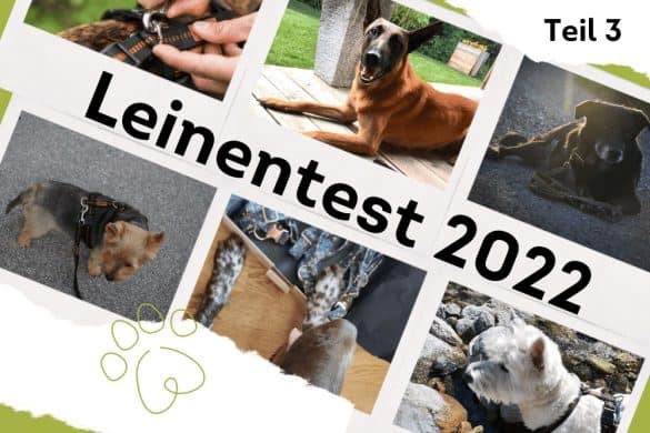 Eine Collage von Fotos der Hundezeitung-Redaktion Hunde. In der Mitte befindet sich ein Schriftzug mit Leinentest 2022 Teil 3.