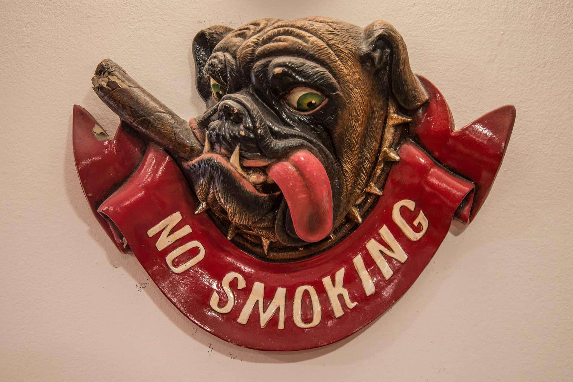 Wandaufhänger, Bulldogge mit Zigarre im Mund und Text "Bo smoking". /Foto: pixabay (skitterphoto)
