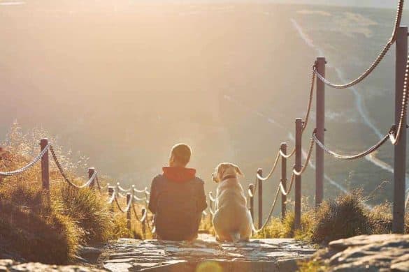 Ein Mann mit Hund sitzt auf einem sonnenbestrahlten Berghügel.