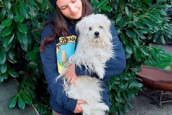 Hund Benni auf dem Arm einer Mitarbeiterin der Pfotenhilfe Lochen.