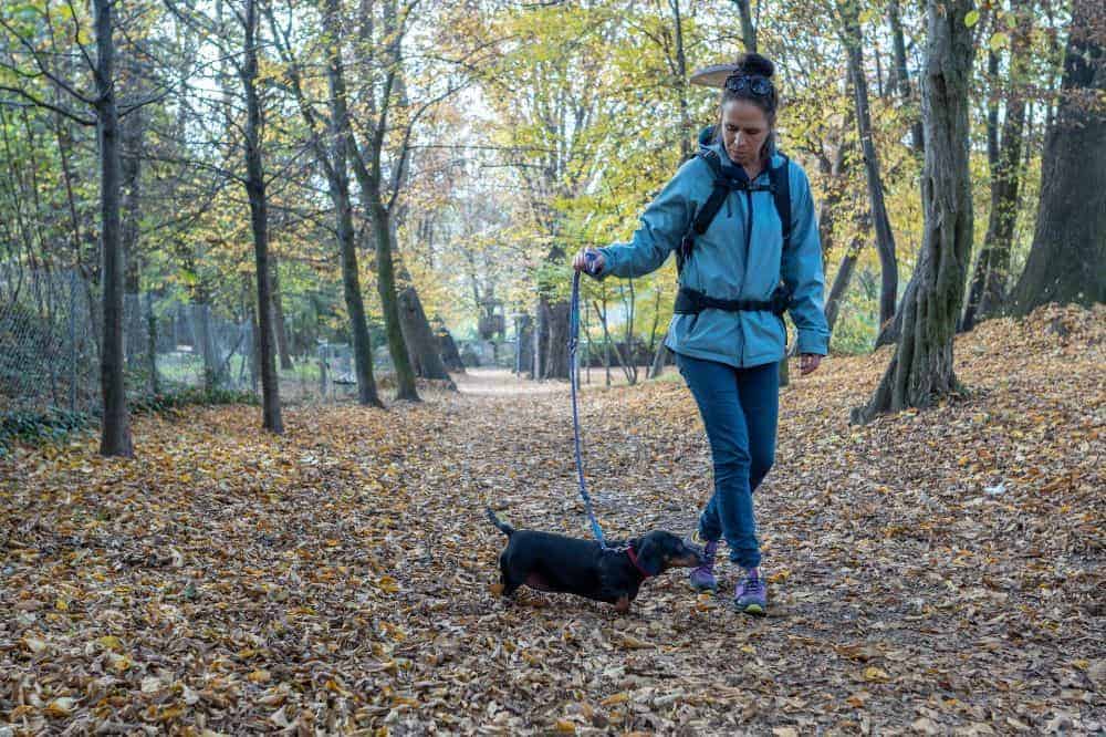 Karin und ihre Hündin Mini spazieren im Wald.
