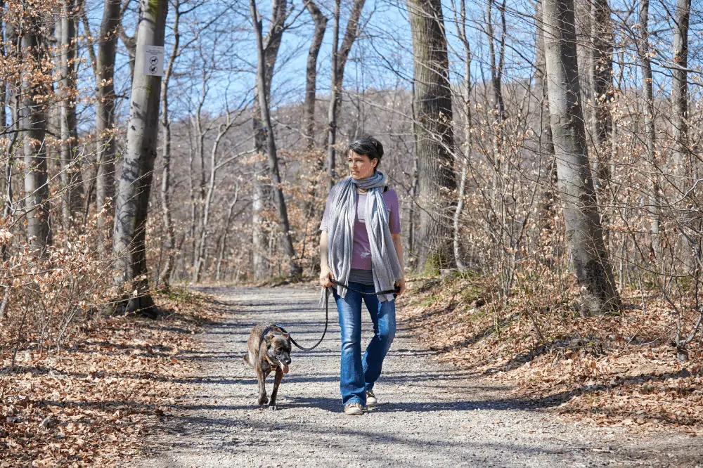 Eine Dame geht mit ihrem Hund auf einem Weg im Wald spazieren.
