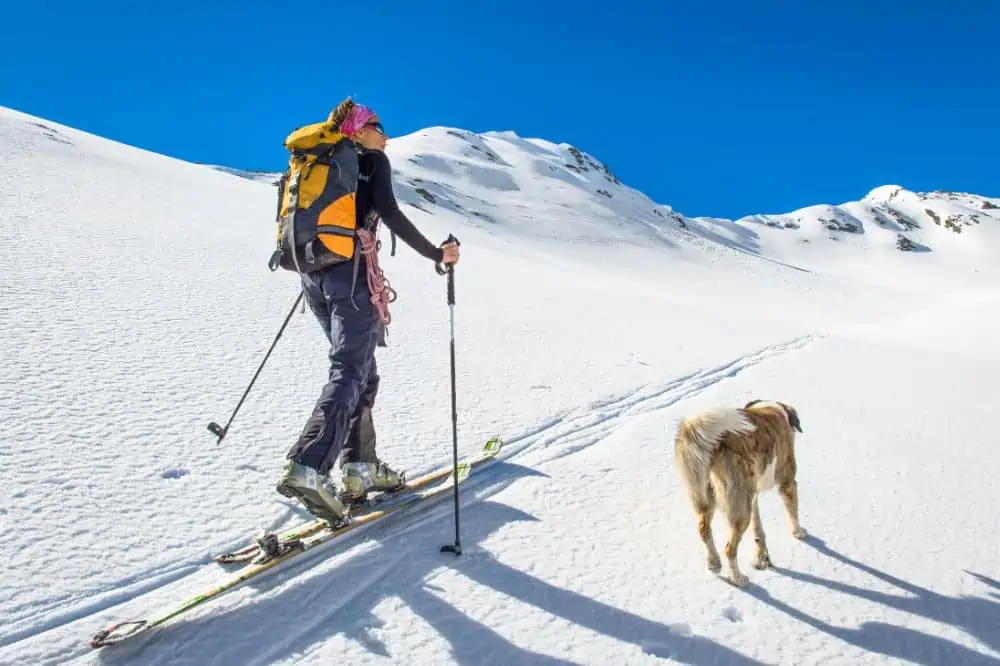 Ein Langläufer läuft mit einem Hund zusammen über eine Skipiste.