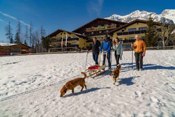 4 Menschen gehen mit einem Schlitten und daneben laufen zwei Hunde im Schnee mit. Dahinter sieht man das Hotel Almfrieden