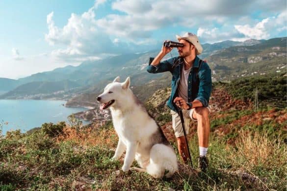 Ein Mann mit einem Husky auf einem Hügel beim Wandern mit Hund.