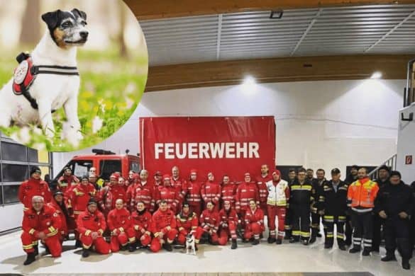 Die Rettungsbrigade Niederösterreich mit dem Rettungshund Joy
