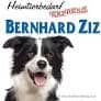 Zur Website www.bernhardziz.at